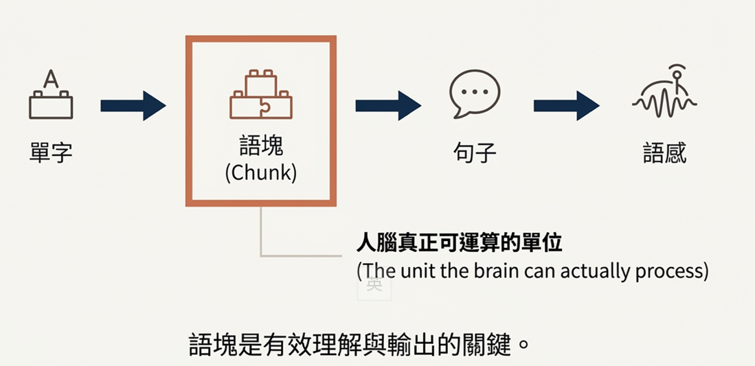 單字→語塊→句子→語感